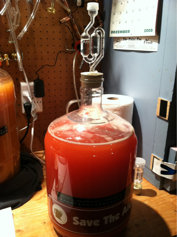 Raspberry Melomel