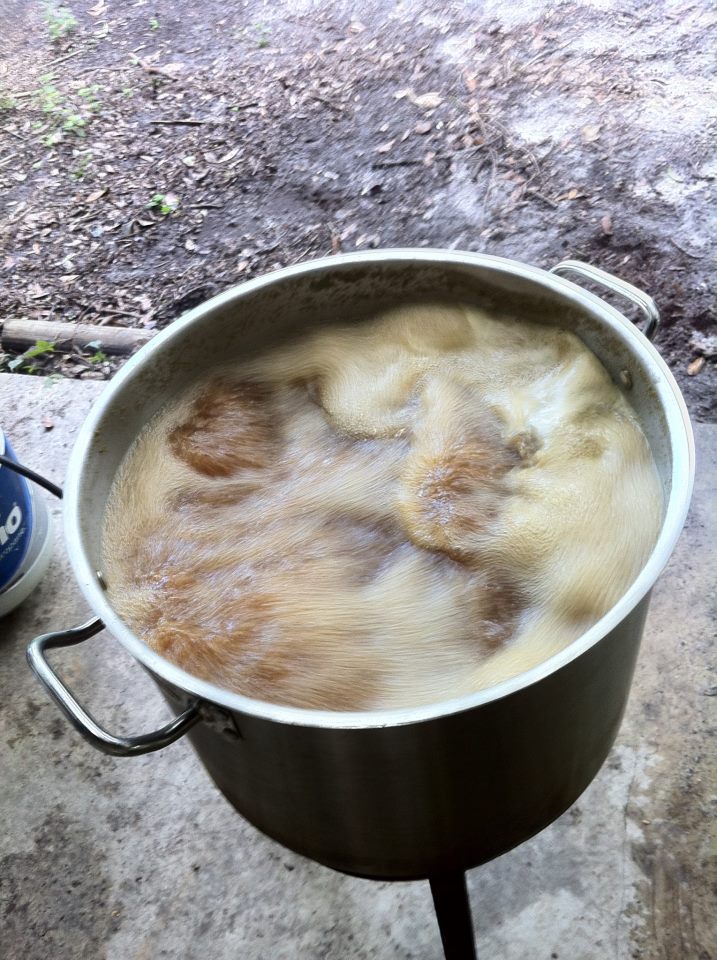 boil!