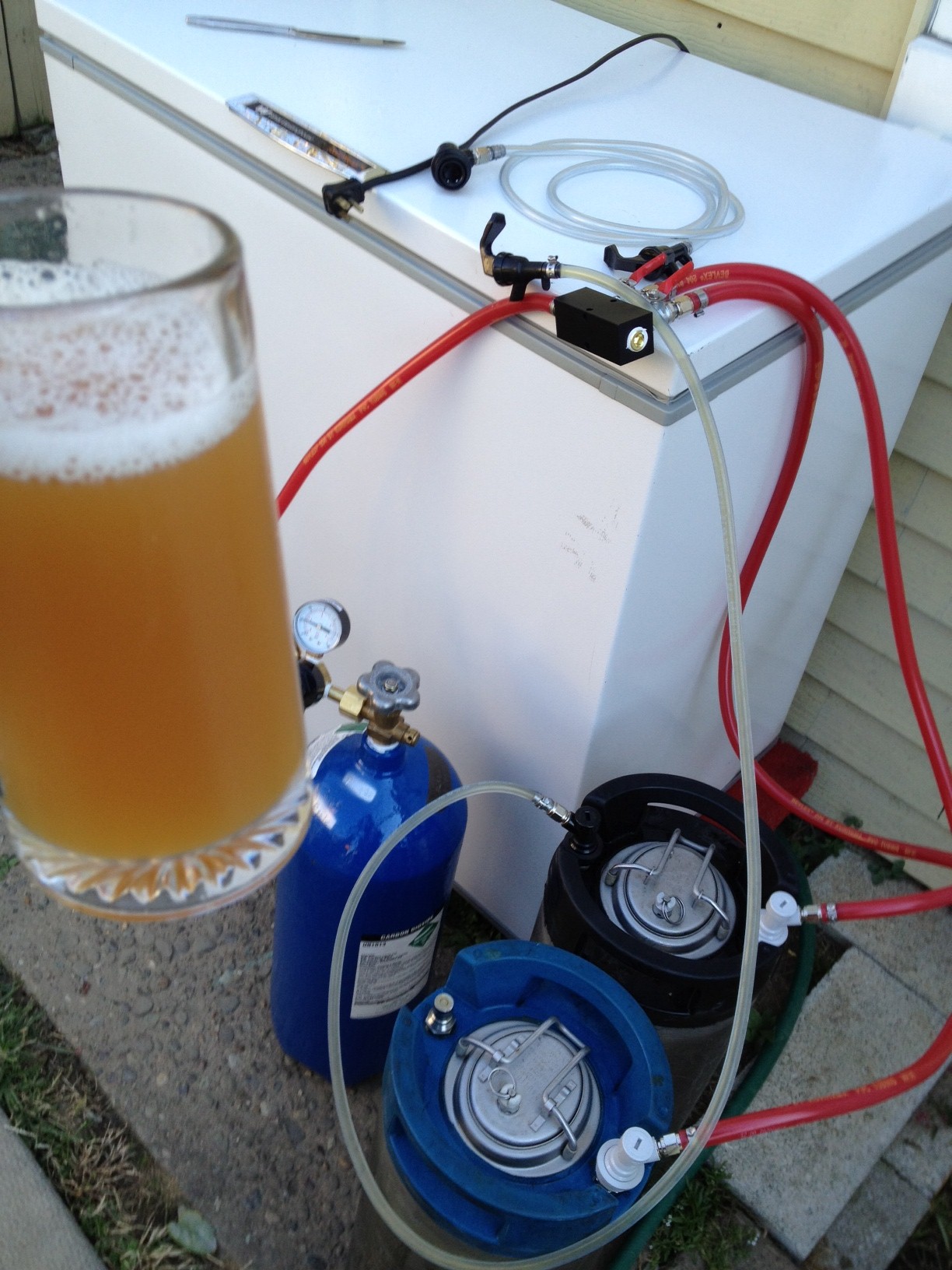 freezer test
