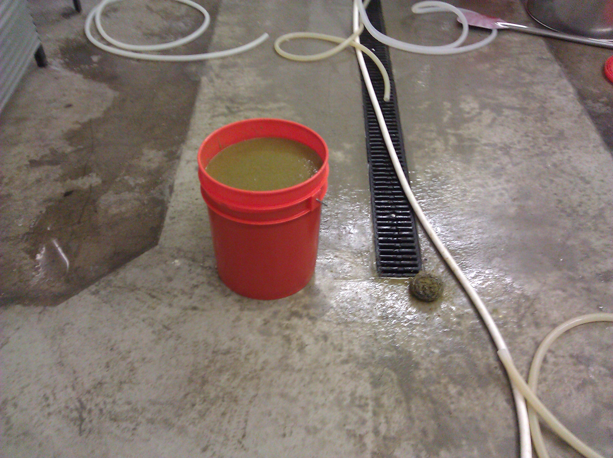 First brewday