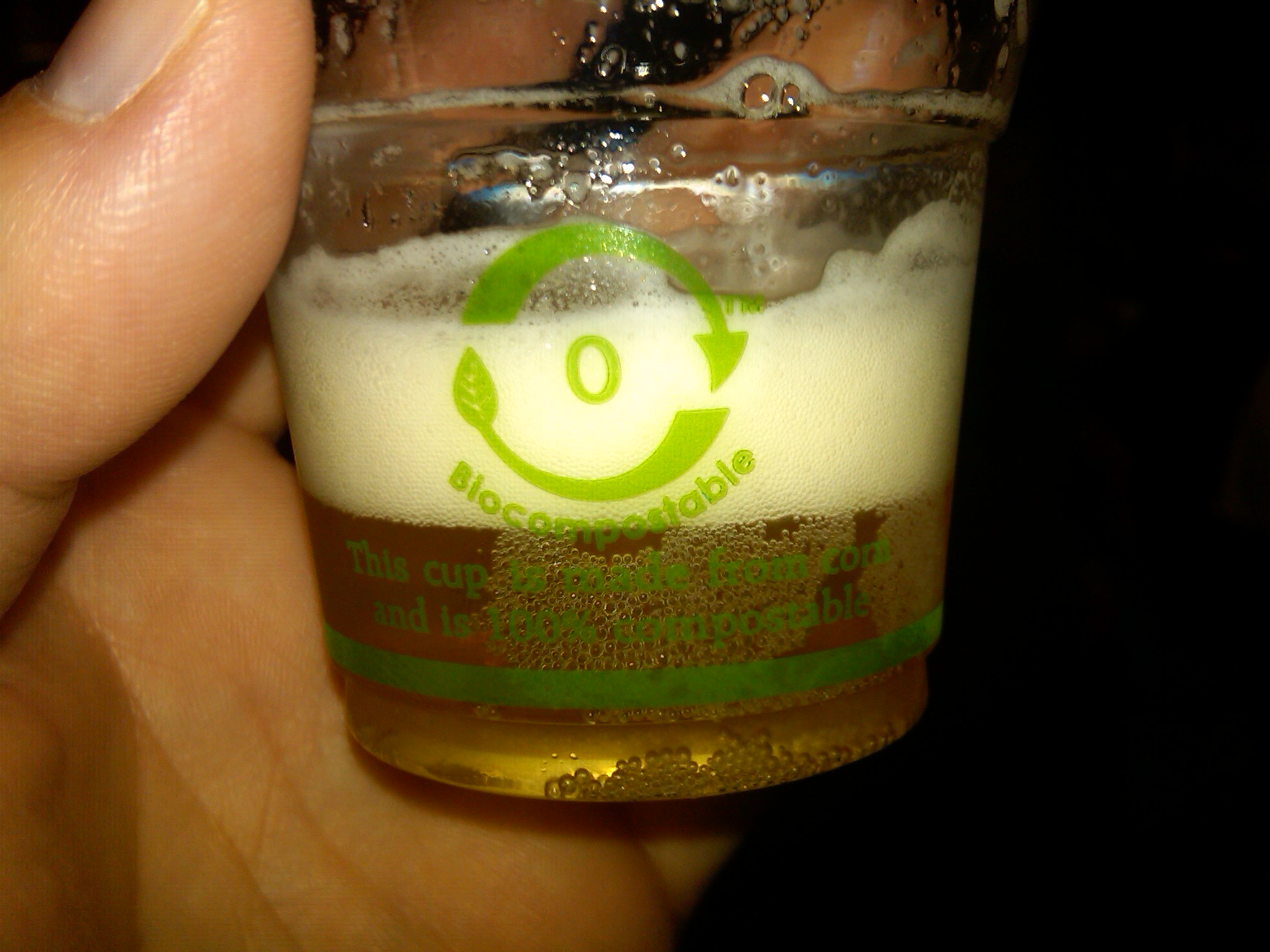 BeerFest Boston