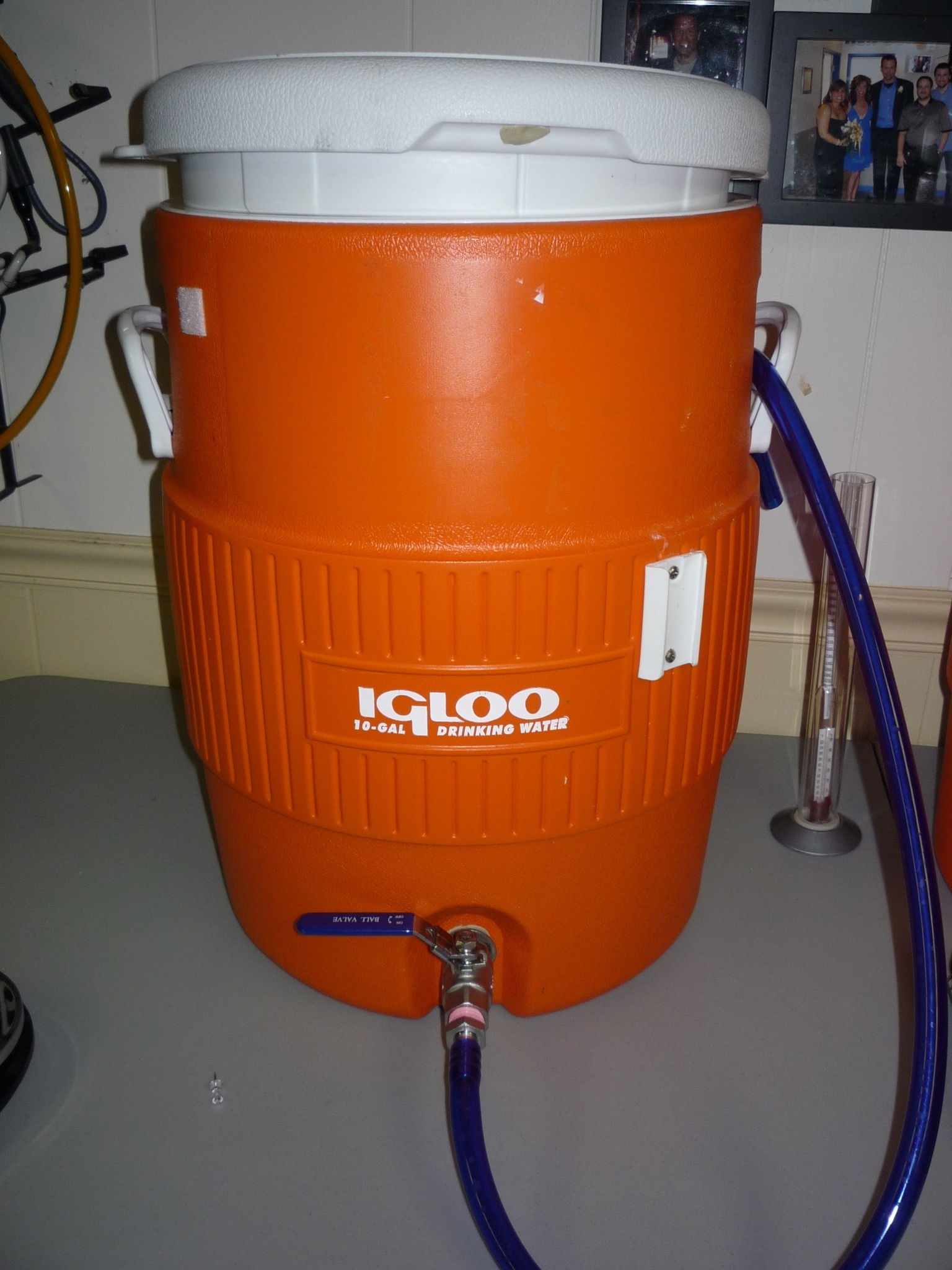 10 gal igloo mash tun
