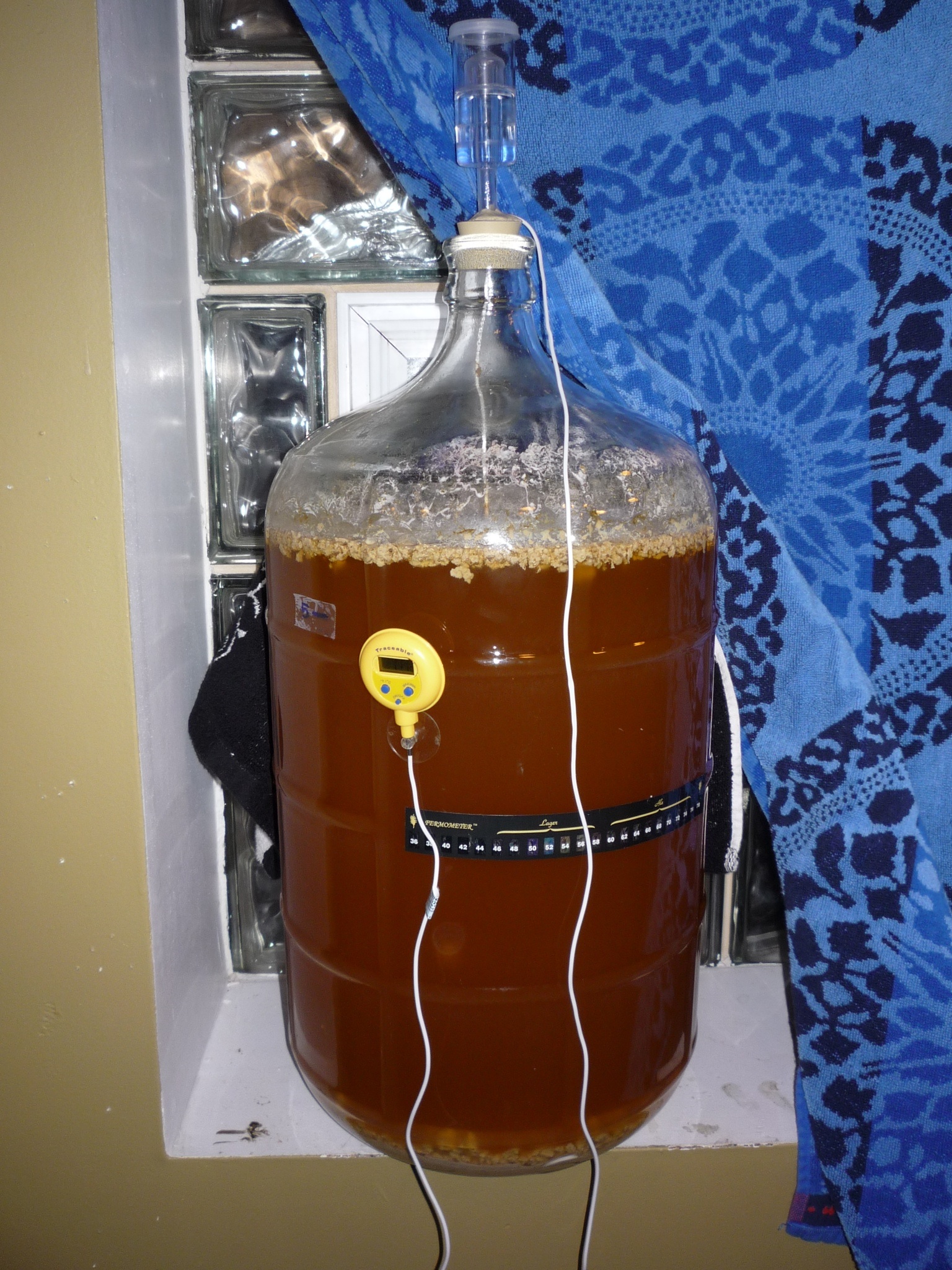 German pils lager in primary