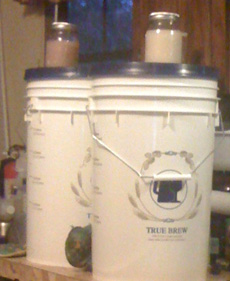 prepping yeast