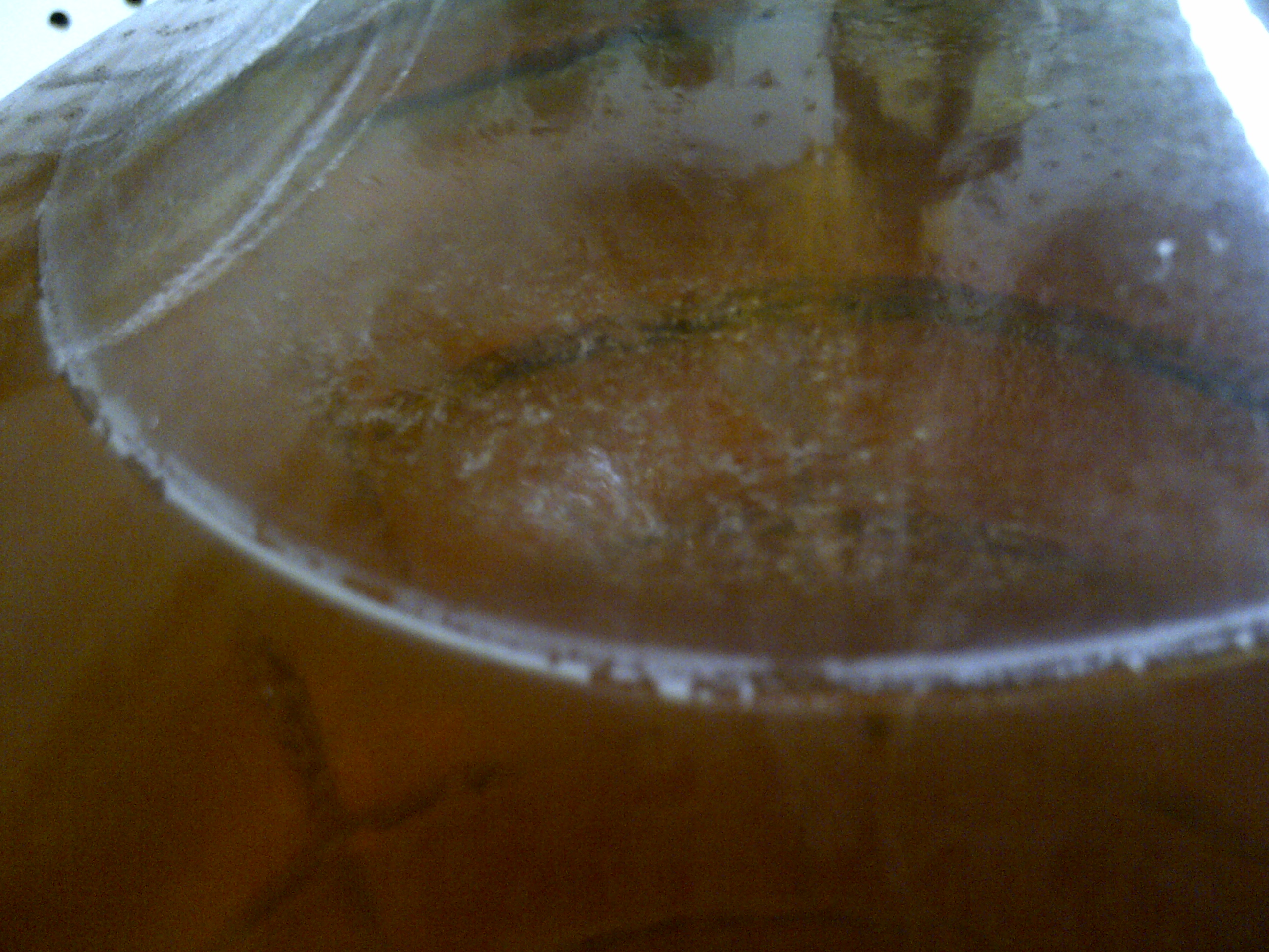 Whitish substance on surface of cider