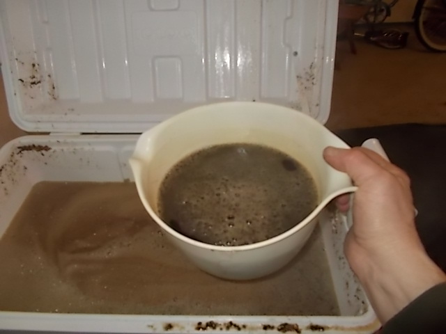 2013 Black Ale Vorlauf