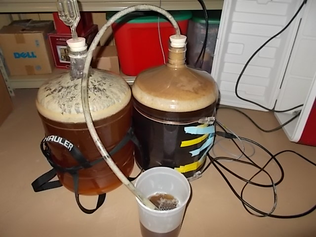 Willamette Smash Ale and Black IPA