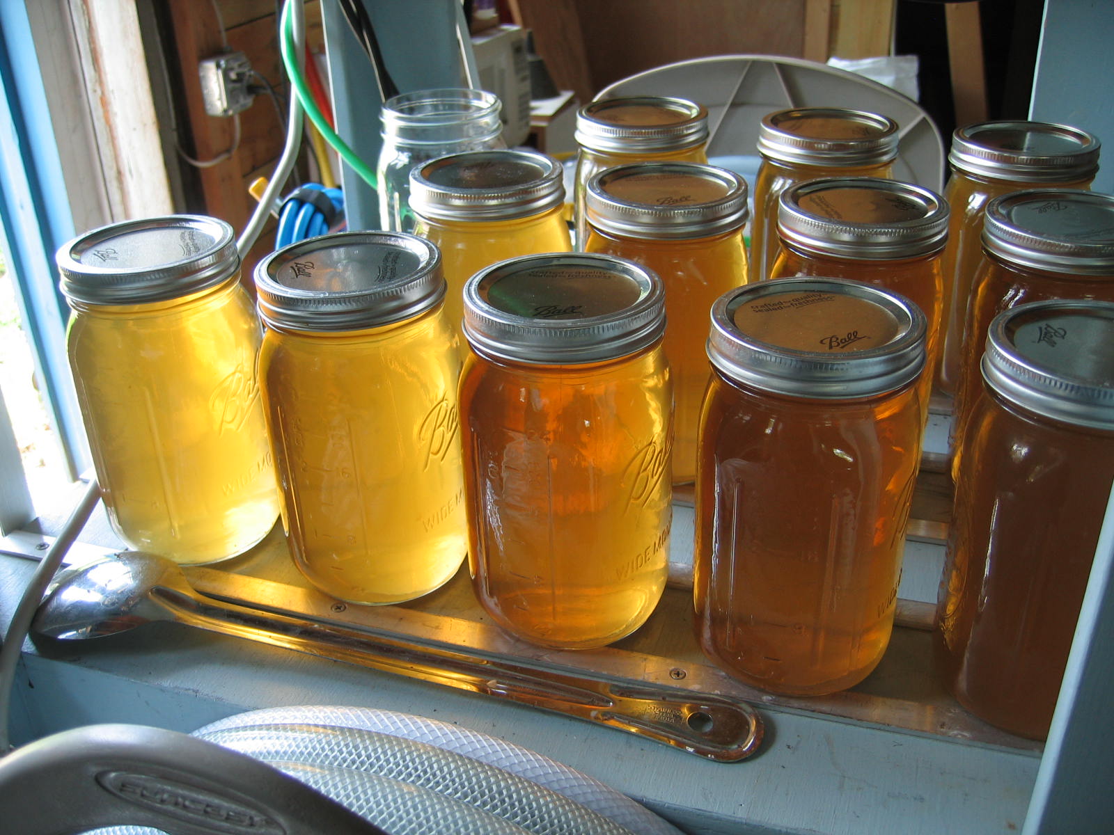 Canned Wort