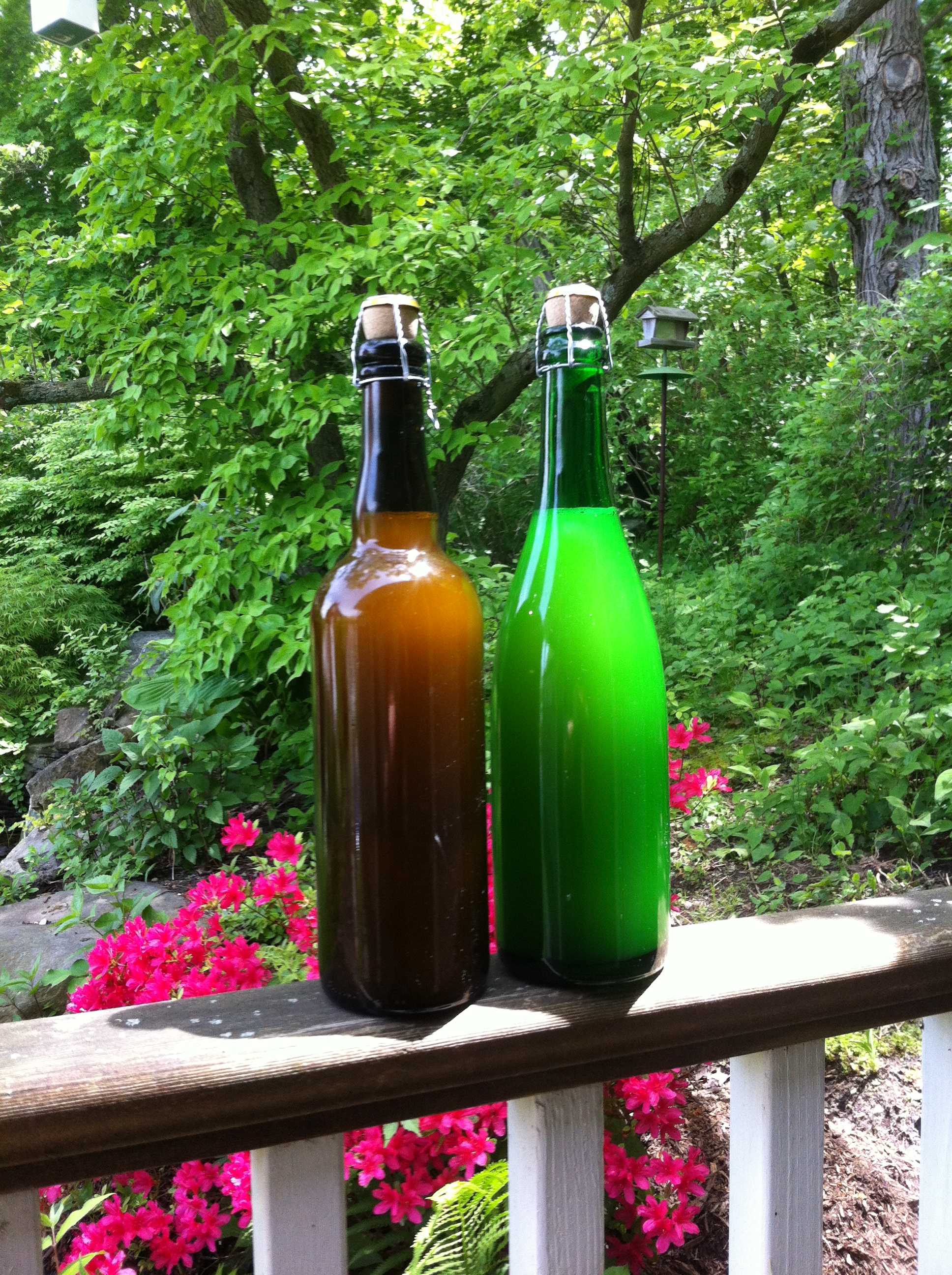 berliner weisse cage and cork