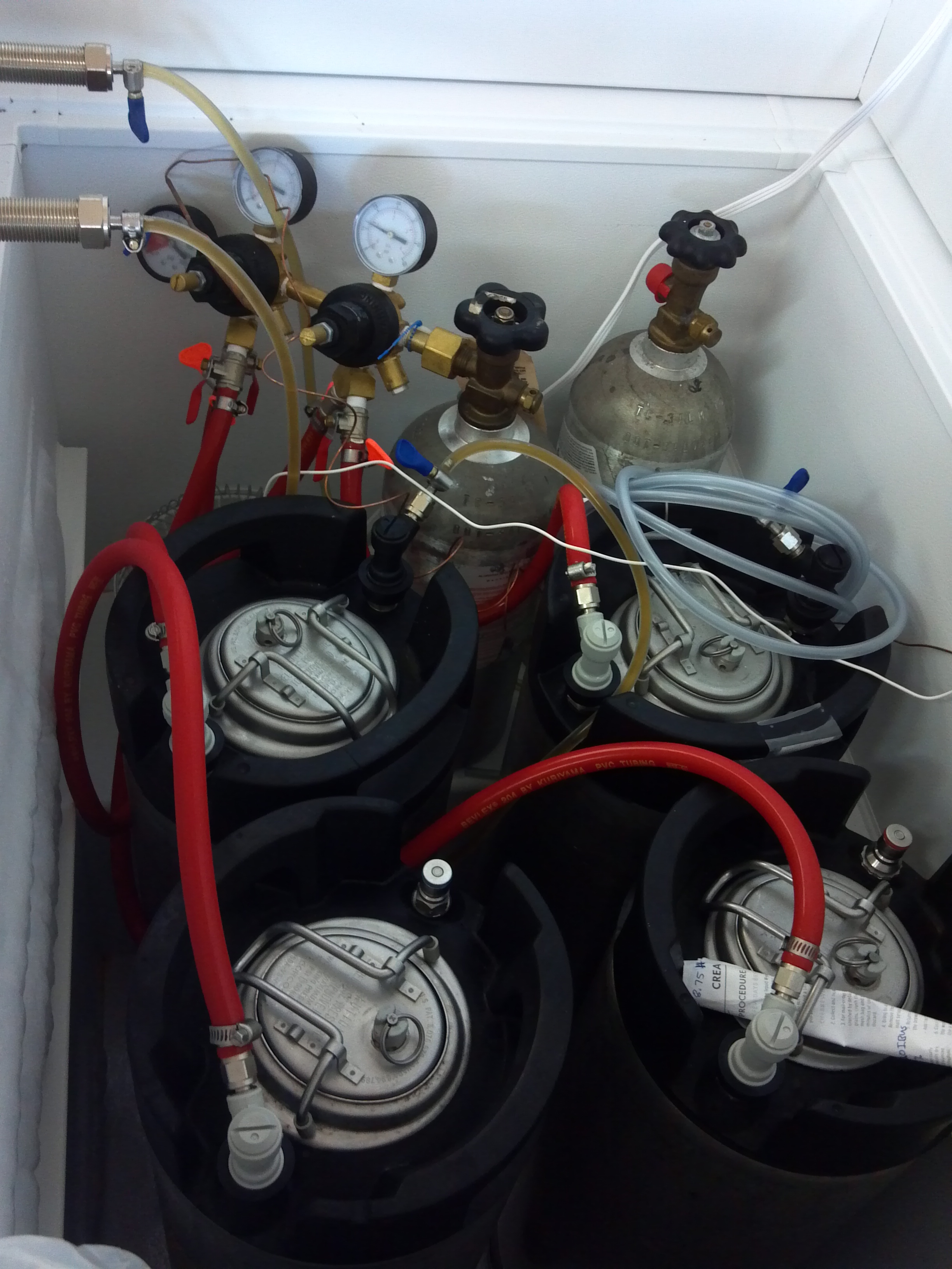 inside keezer