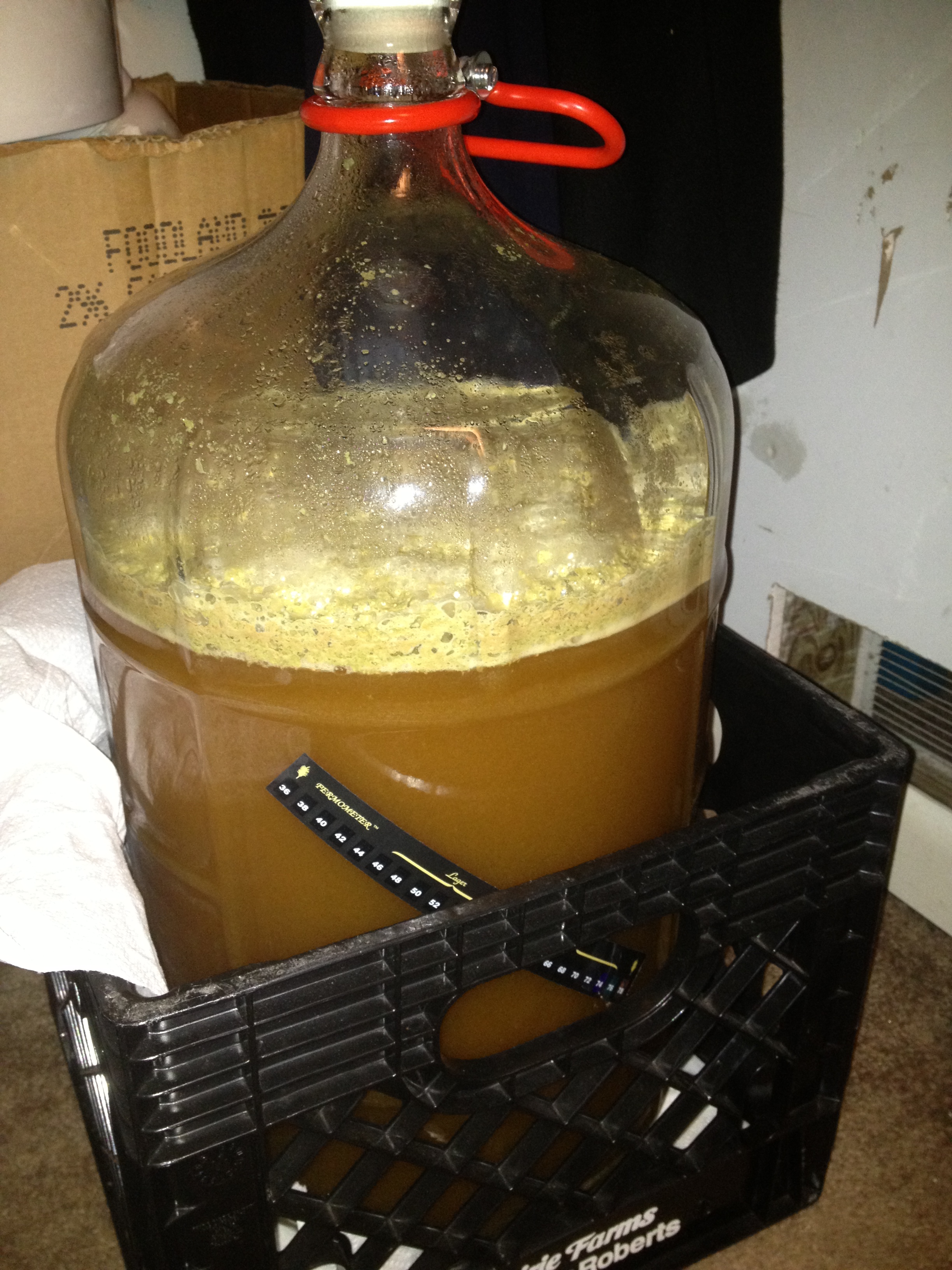 Belgian Strong Fermenting