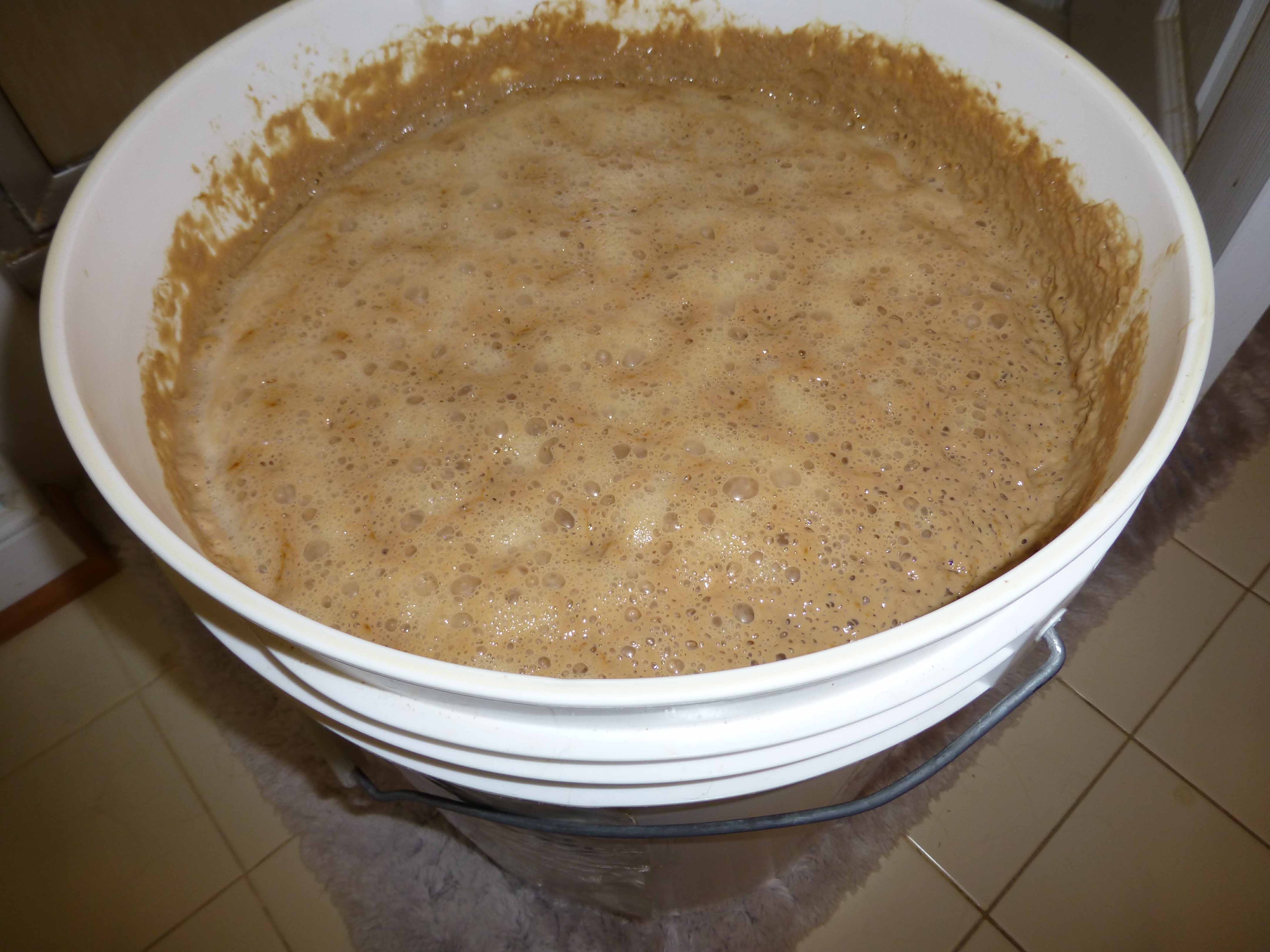Mosaic IPA Krausen