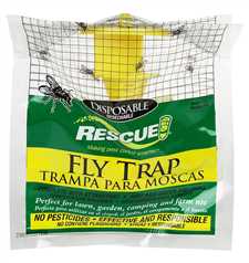 Stinky fly trap