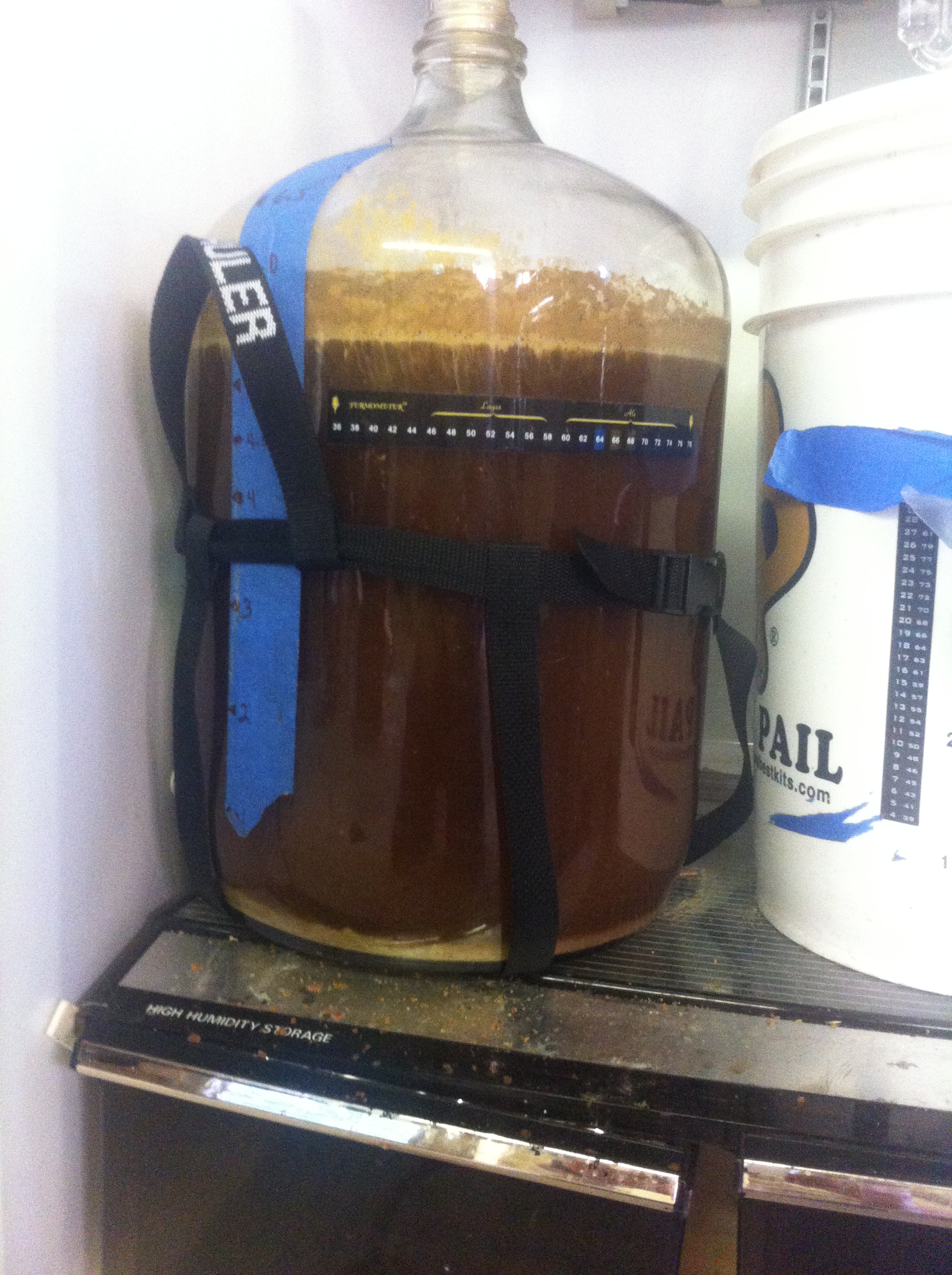 pumpkin ale fermenting