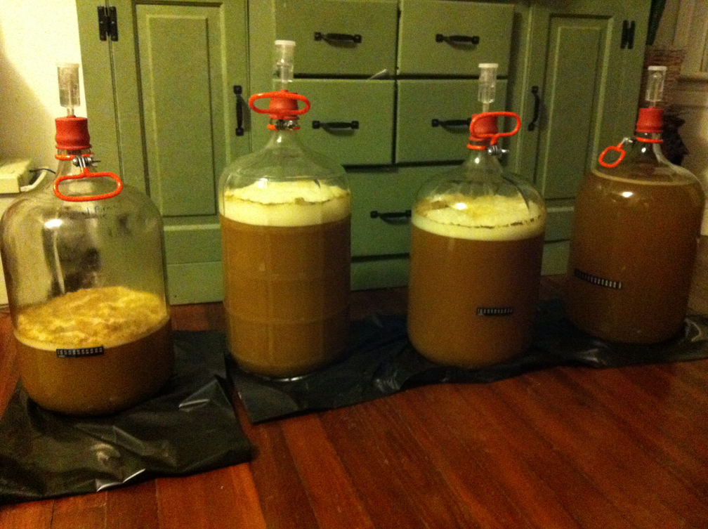 Latest Batch