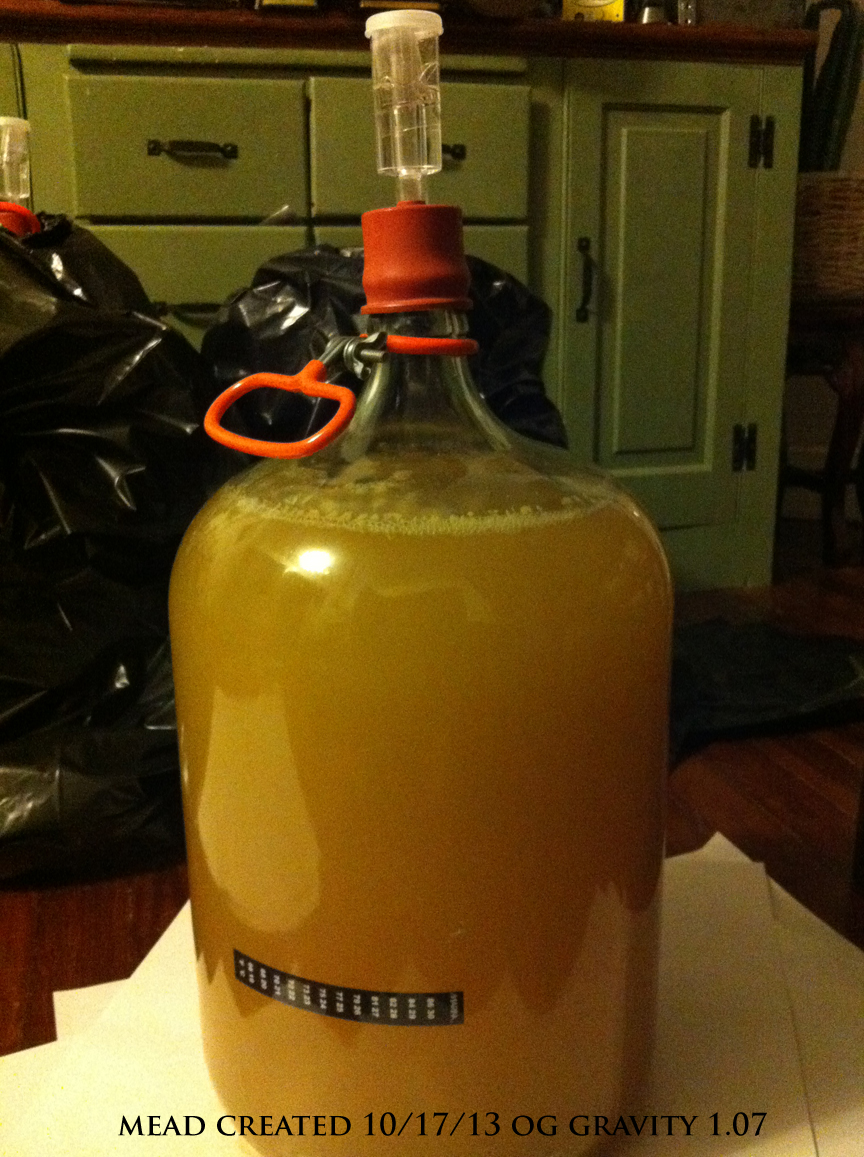 Mead Fermenting day 3 started 10 18 13