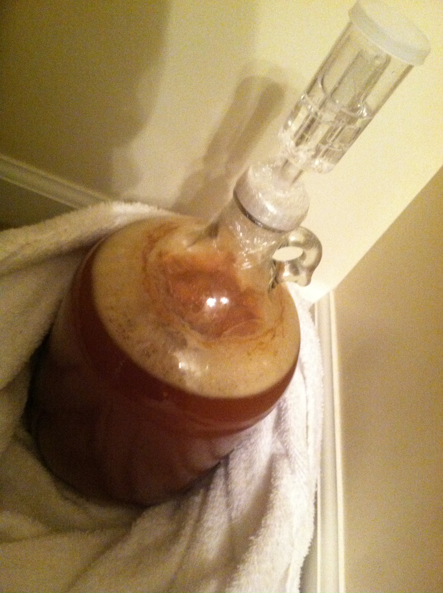 Dead Ringer IPA