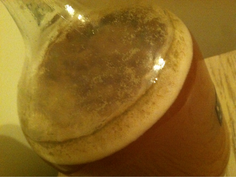 Beautiful Krausen, Sierra Madre pale ale