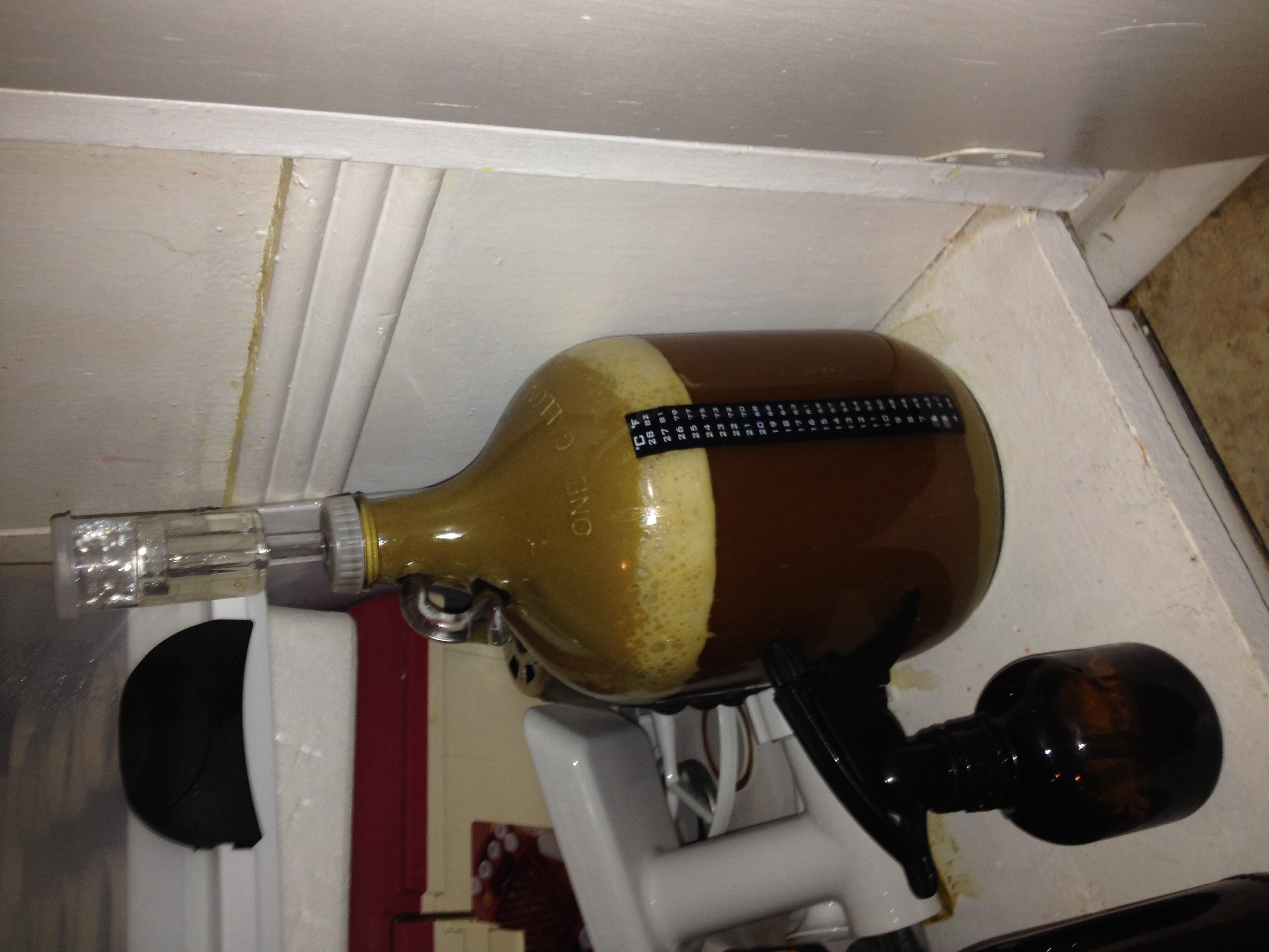 Weizenbock fermentation
