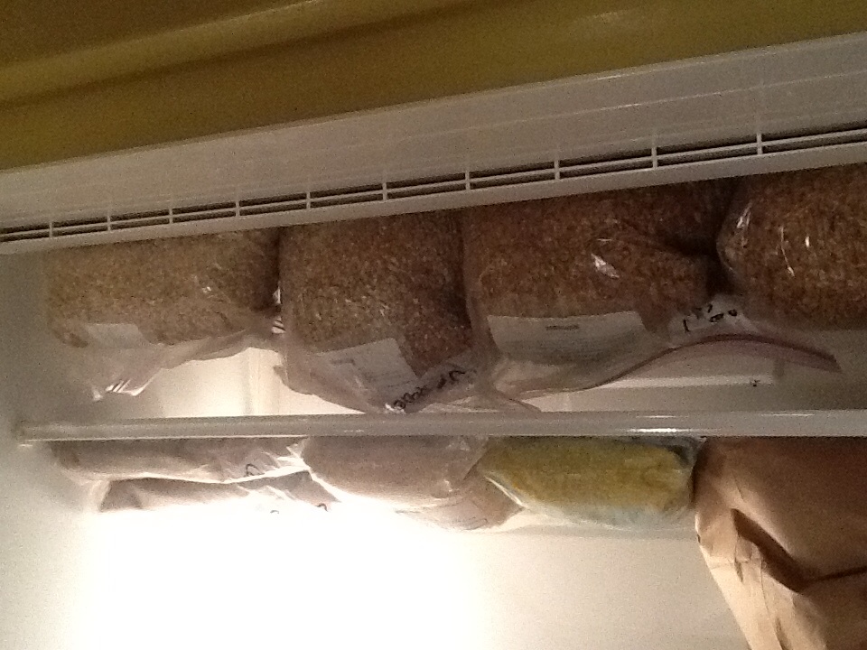 Grains for brew day