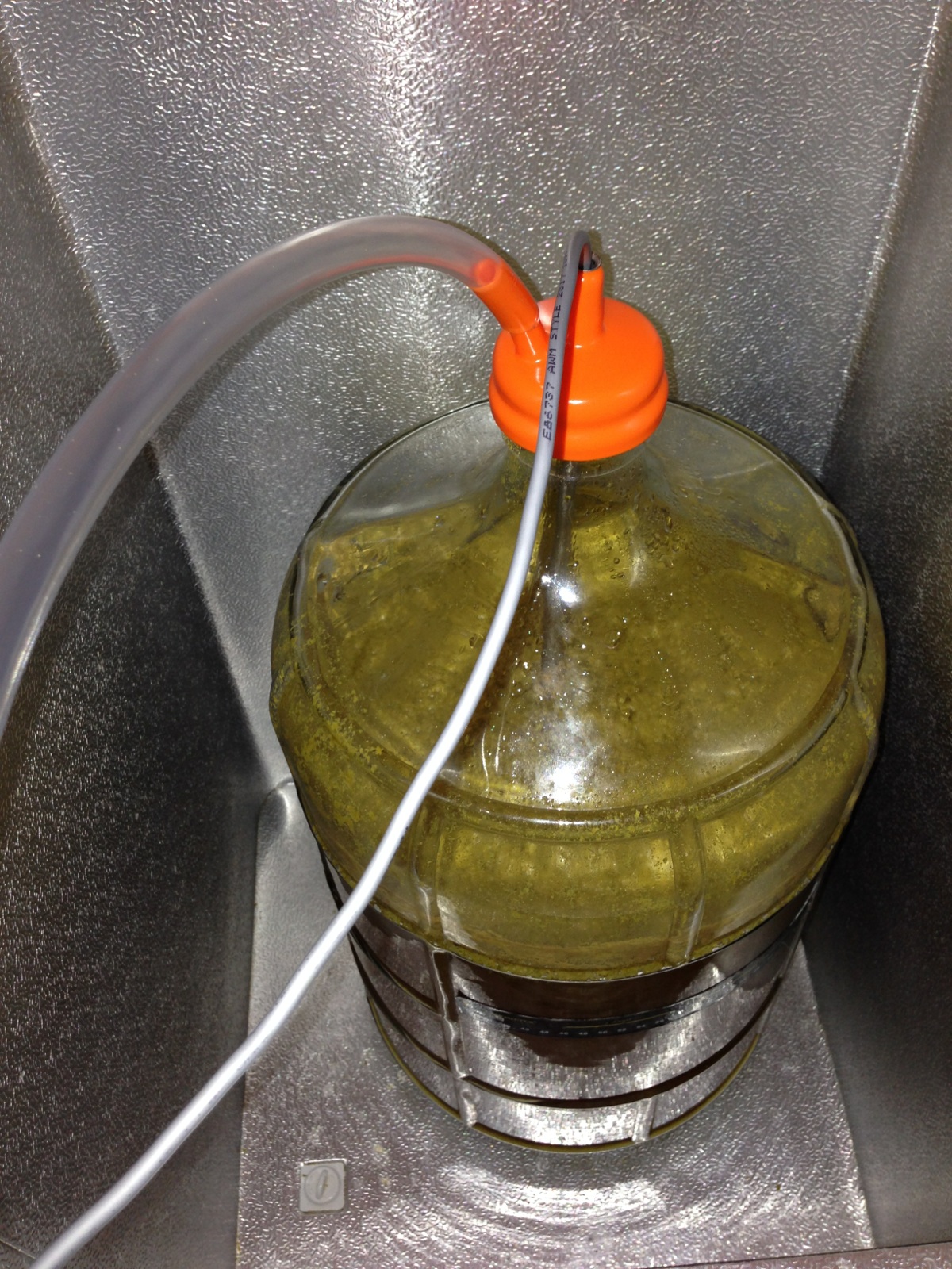 6 oz Dry Hop