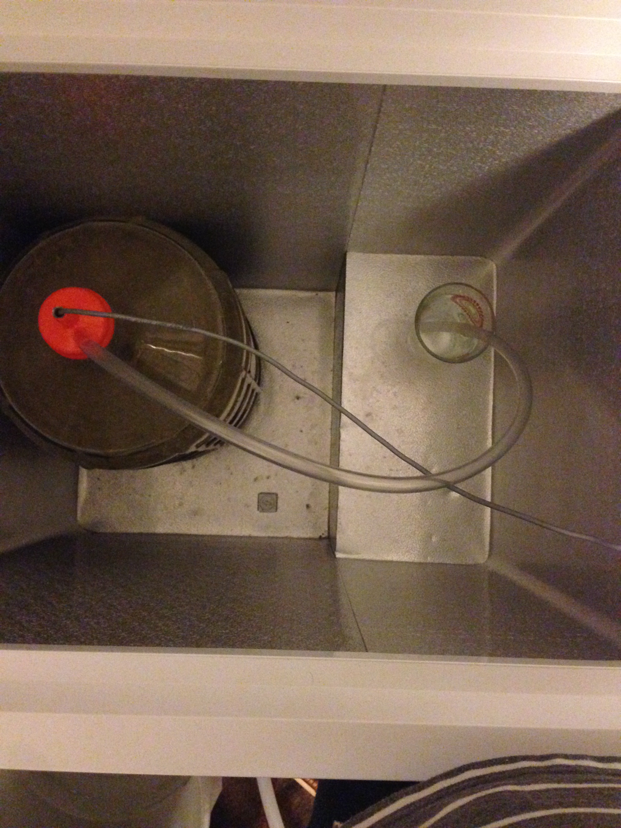 Fermentation