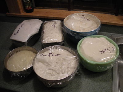 proofed sour dough