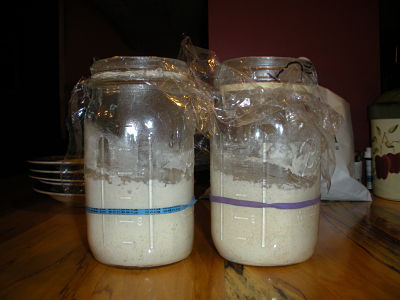 sourdough starter