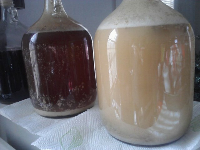 3 1-gallon beers