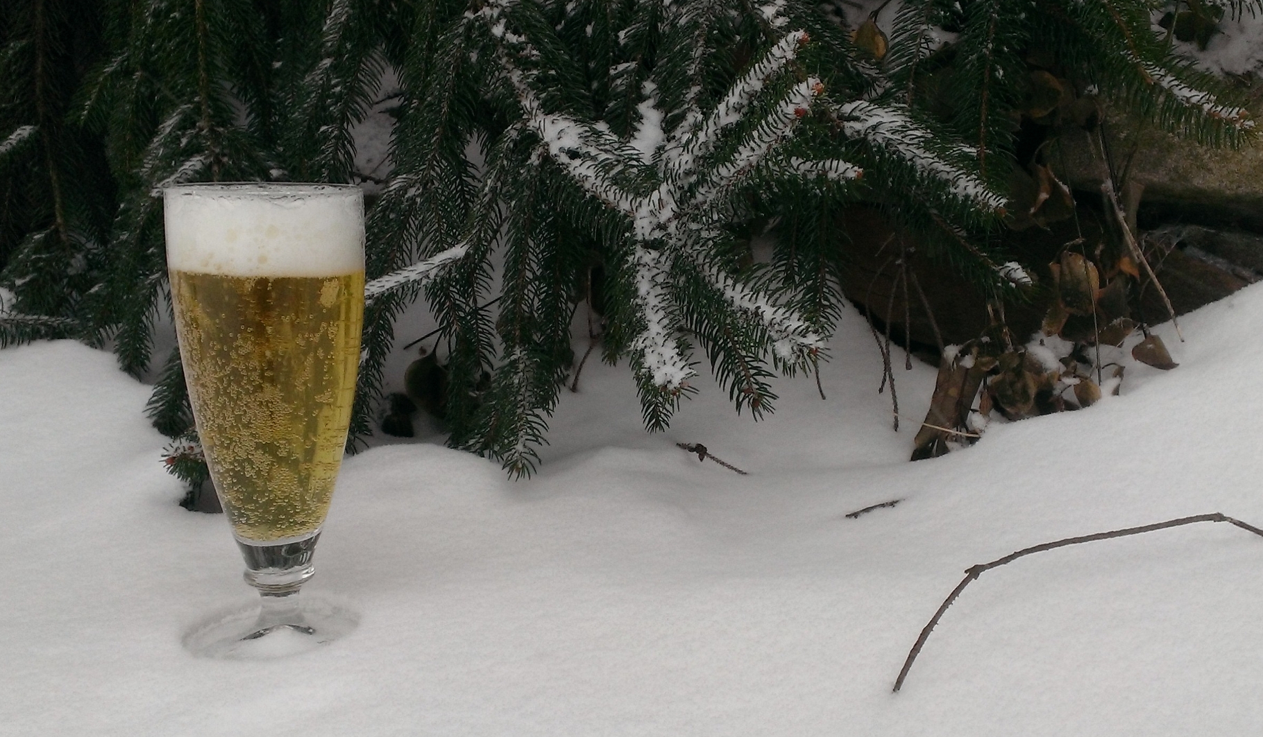 White Christmas Light Lager
