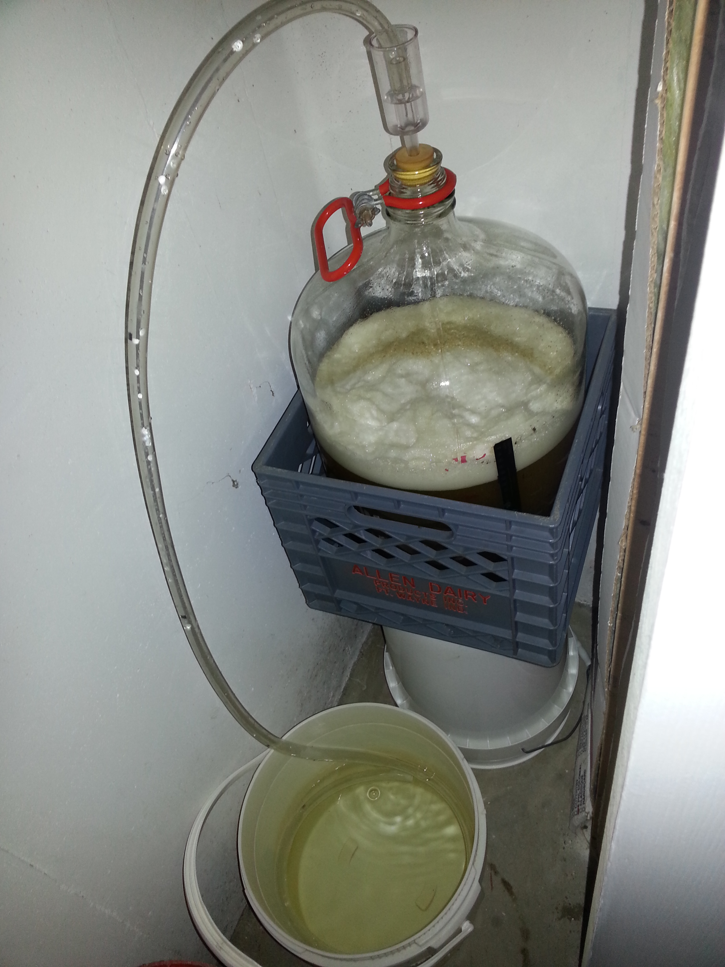 Fermentation the same day. Starter used.