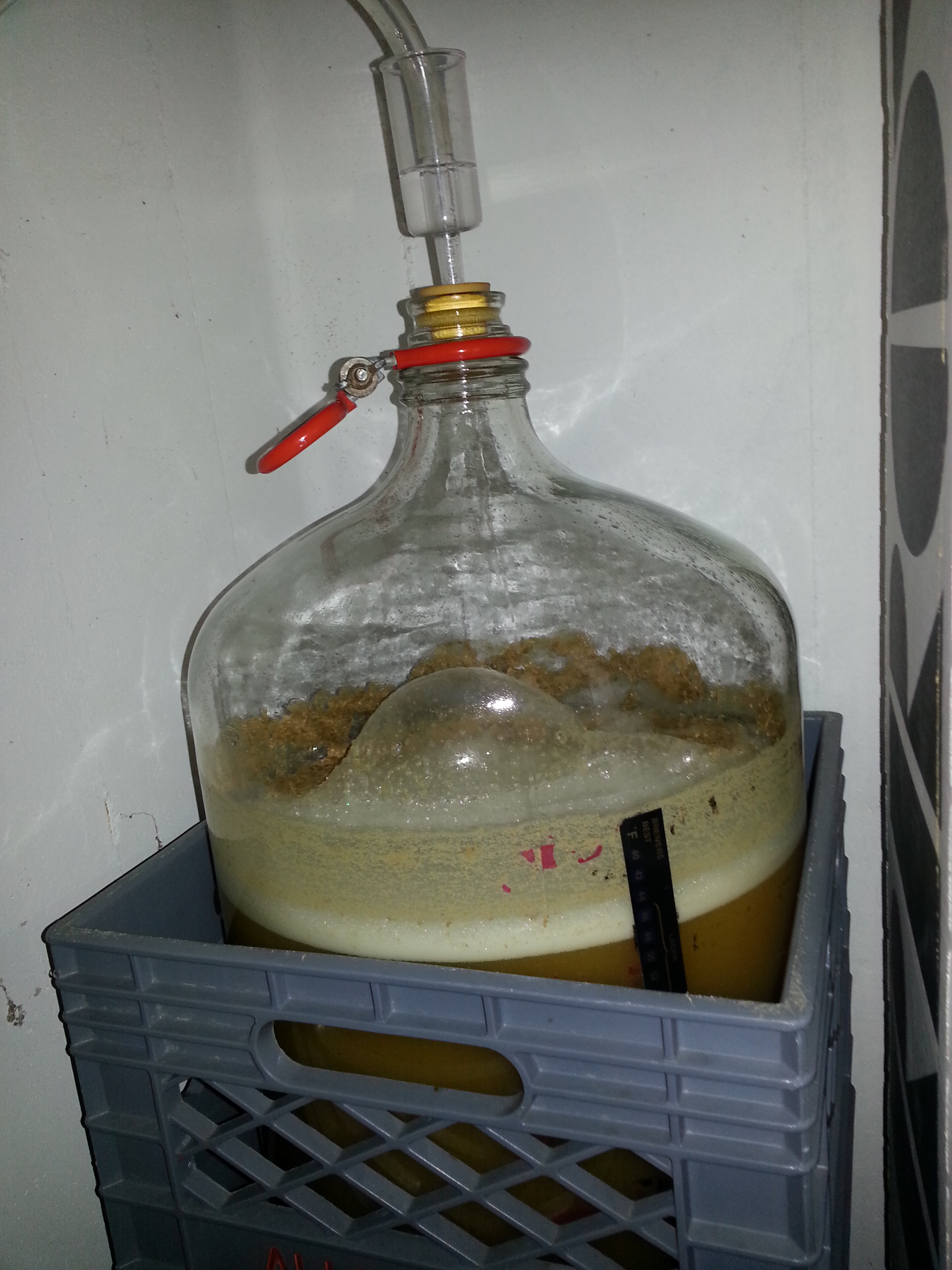 1 day after brew day. Yeast are partying!