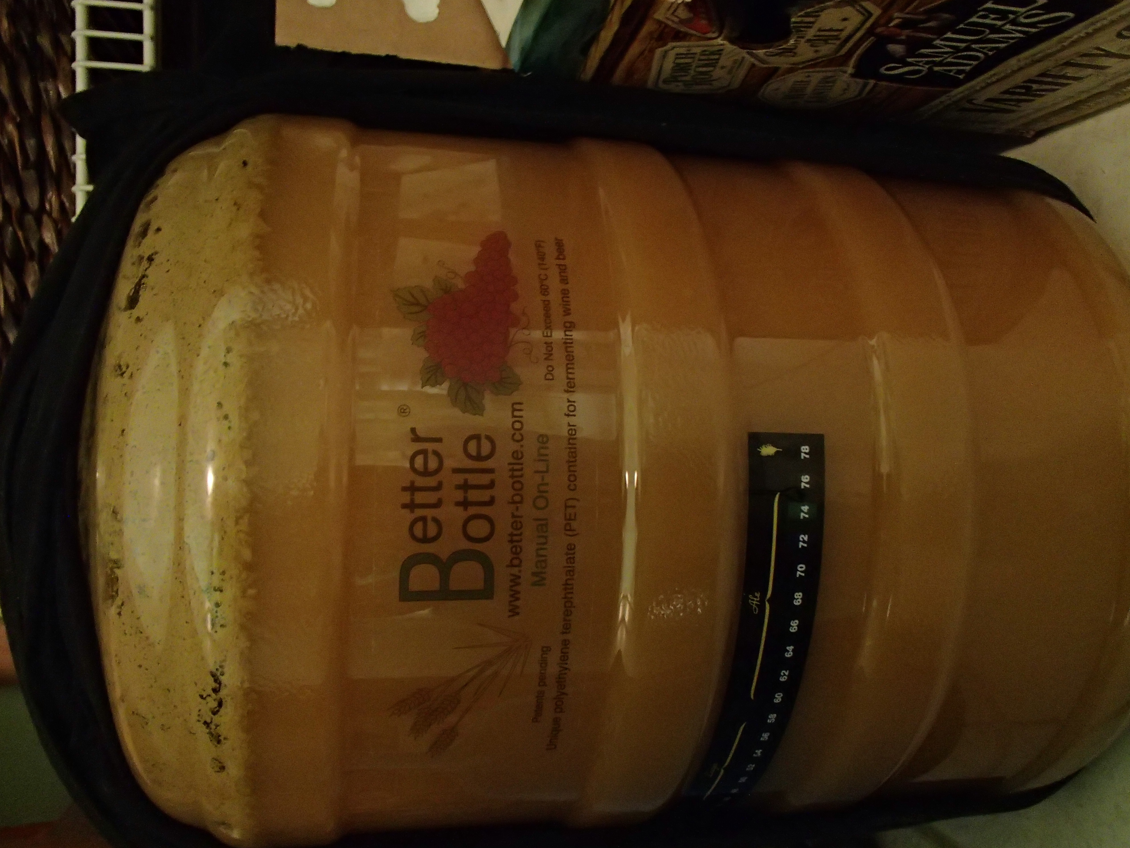 belgian ipa