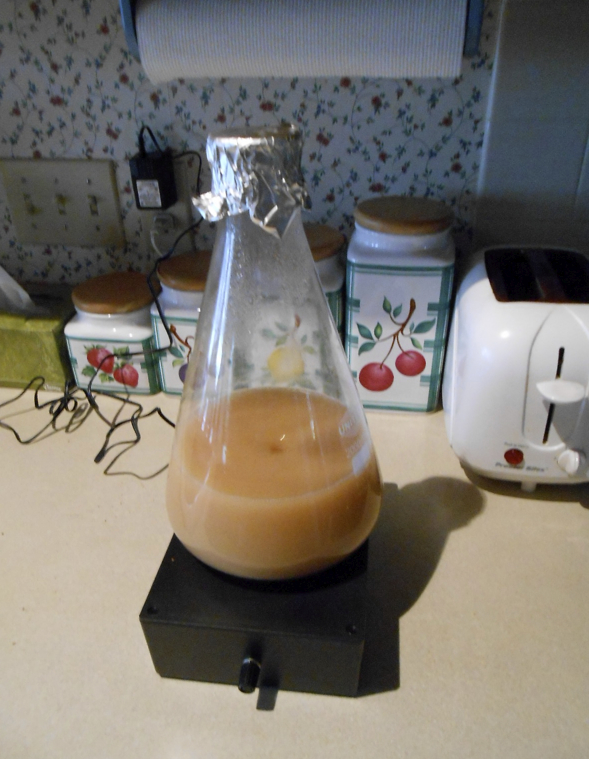 Wyeast American Ale 1056