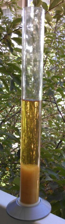 Cream Ale in Flask