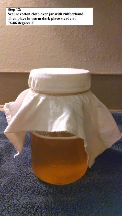 Step 12: Secure cloth over jar with rubberband