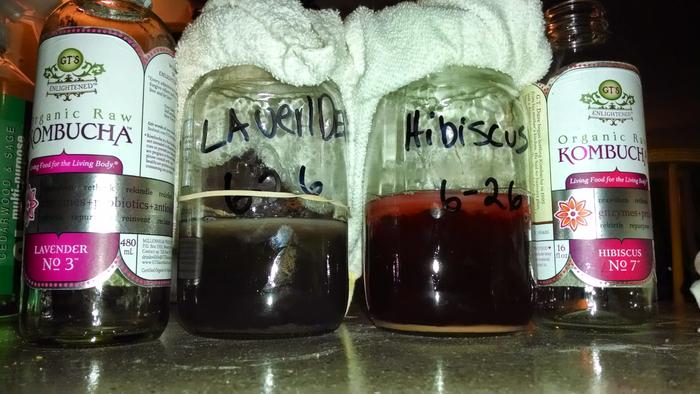Final results using flavored GT as an example