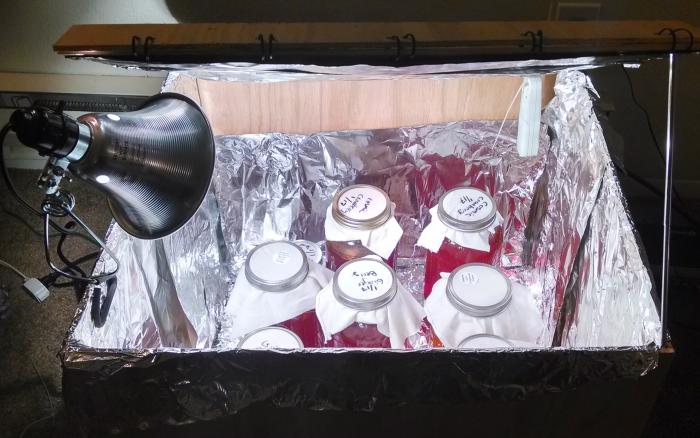 Use a 43 watt halogen bulb