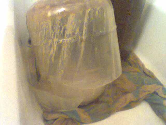 Carboy sheared