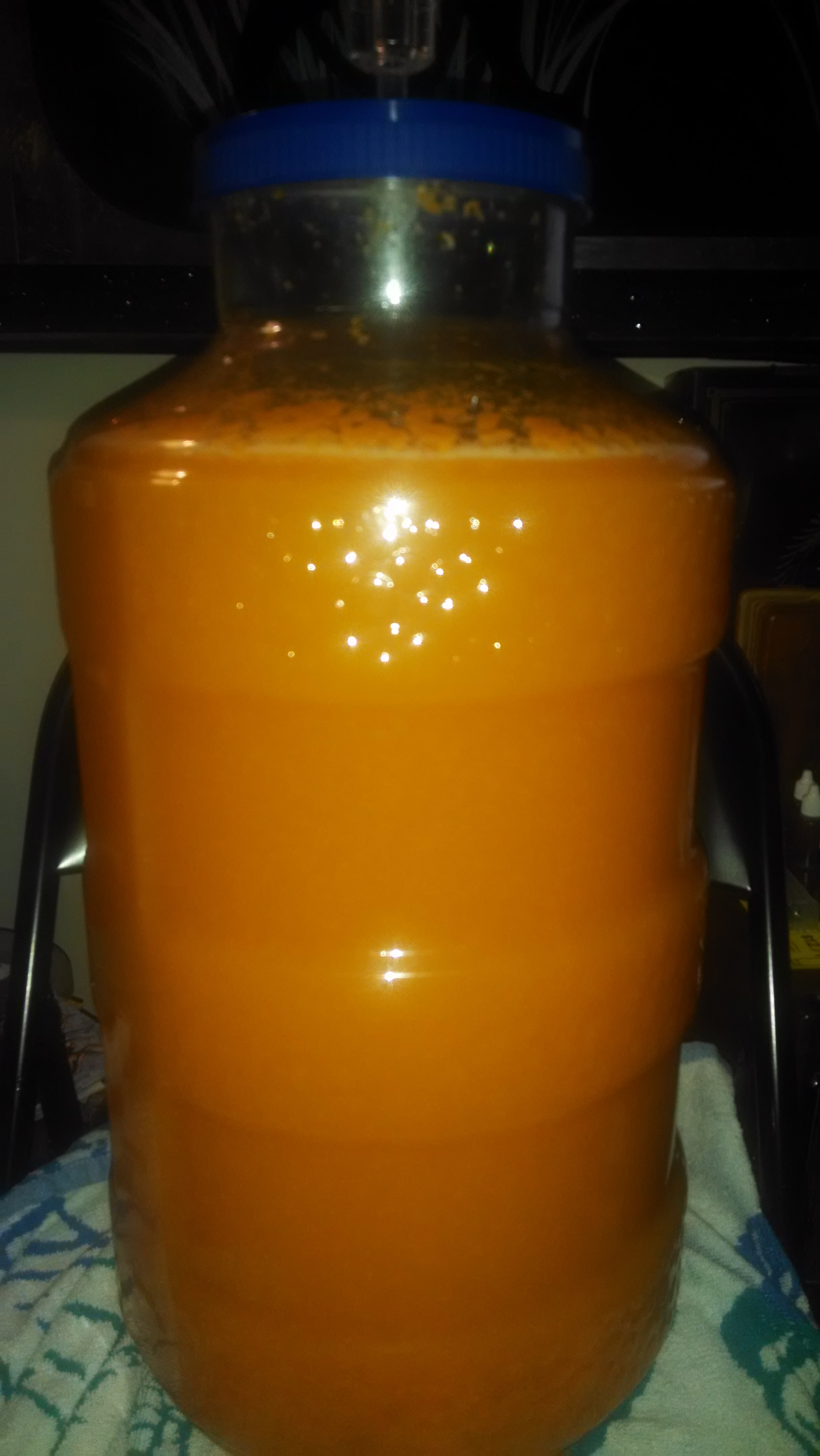 Day 2 - fermentation