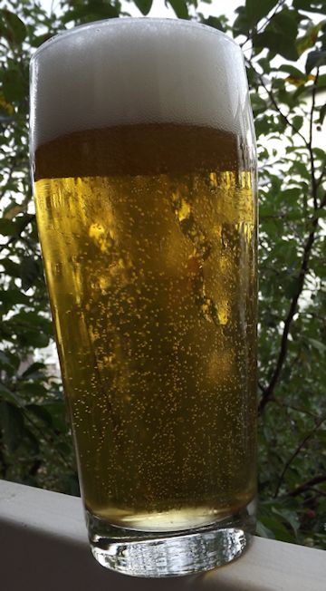 Yooper's Cream ale
