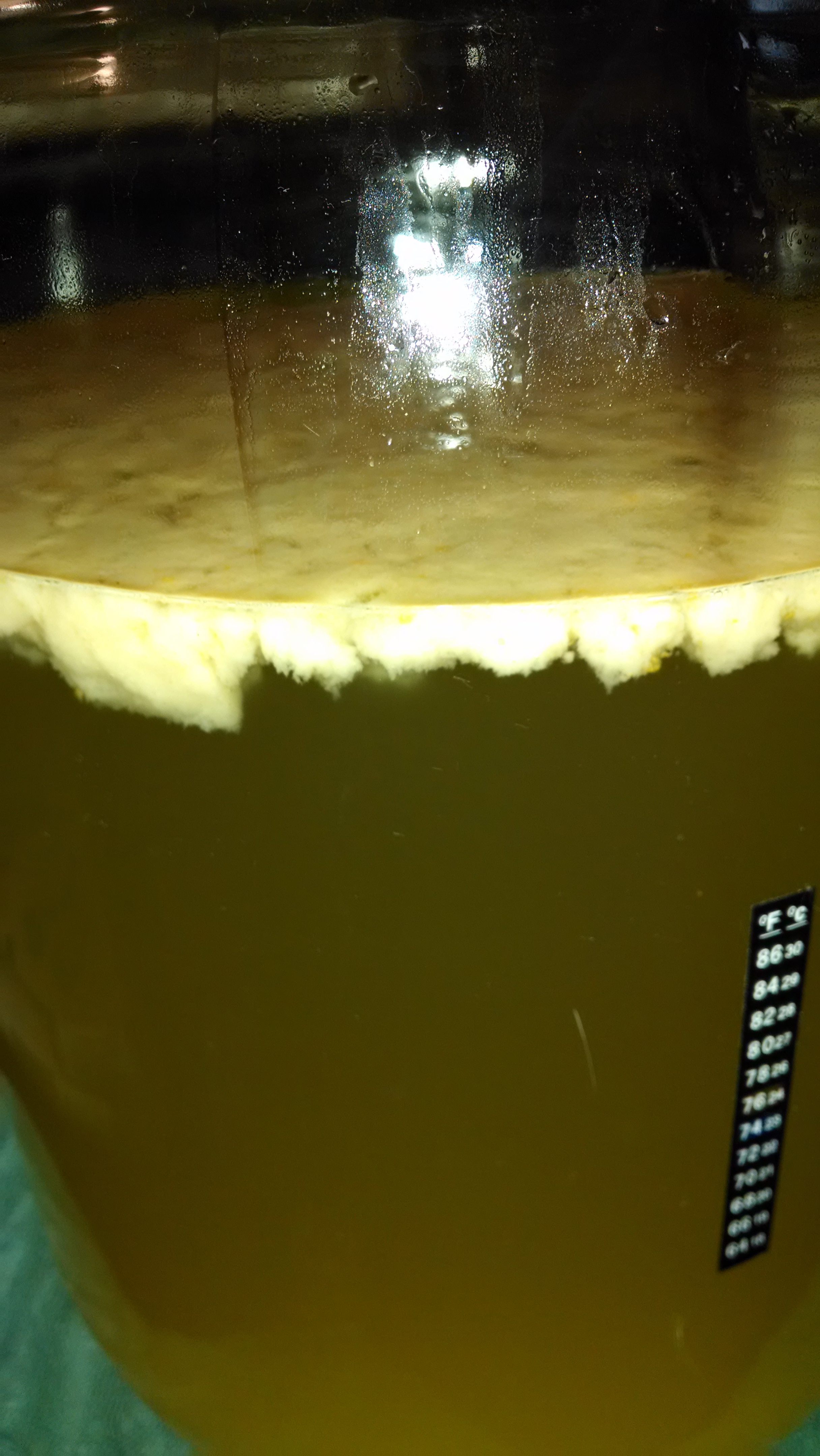 Is this bad?