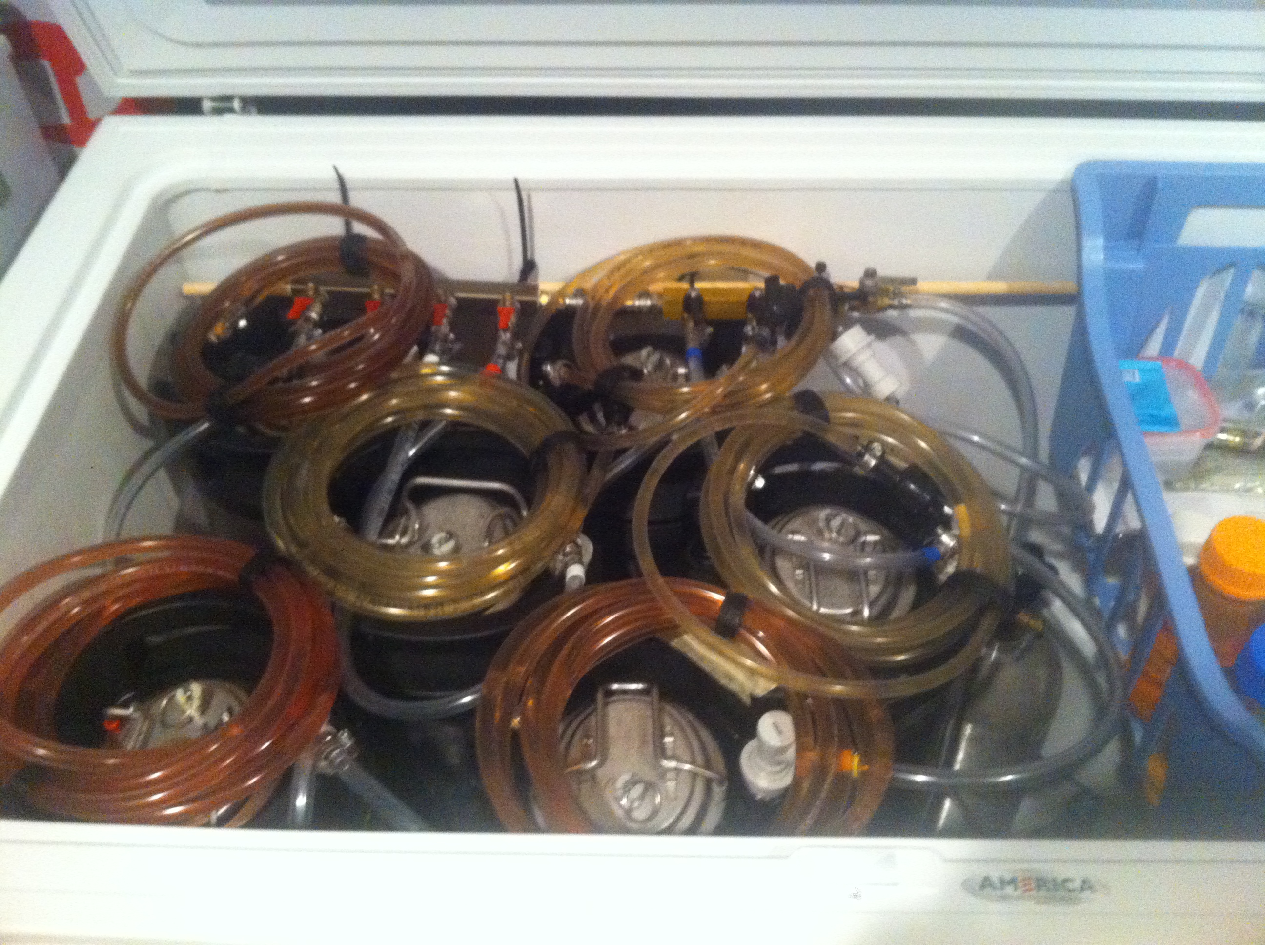 keezer