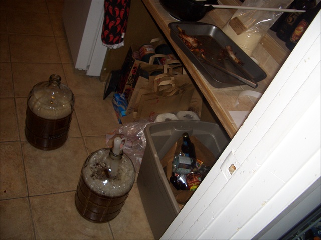 Easy Partial Mash Brewing