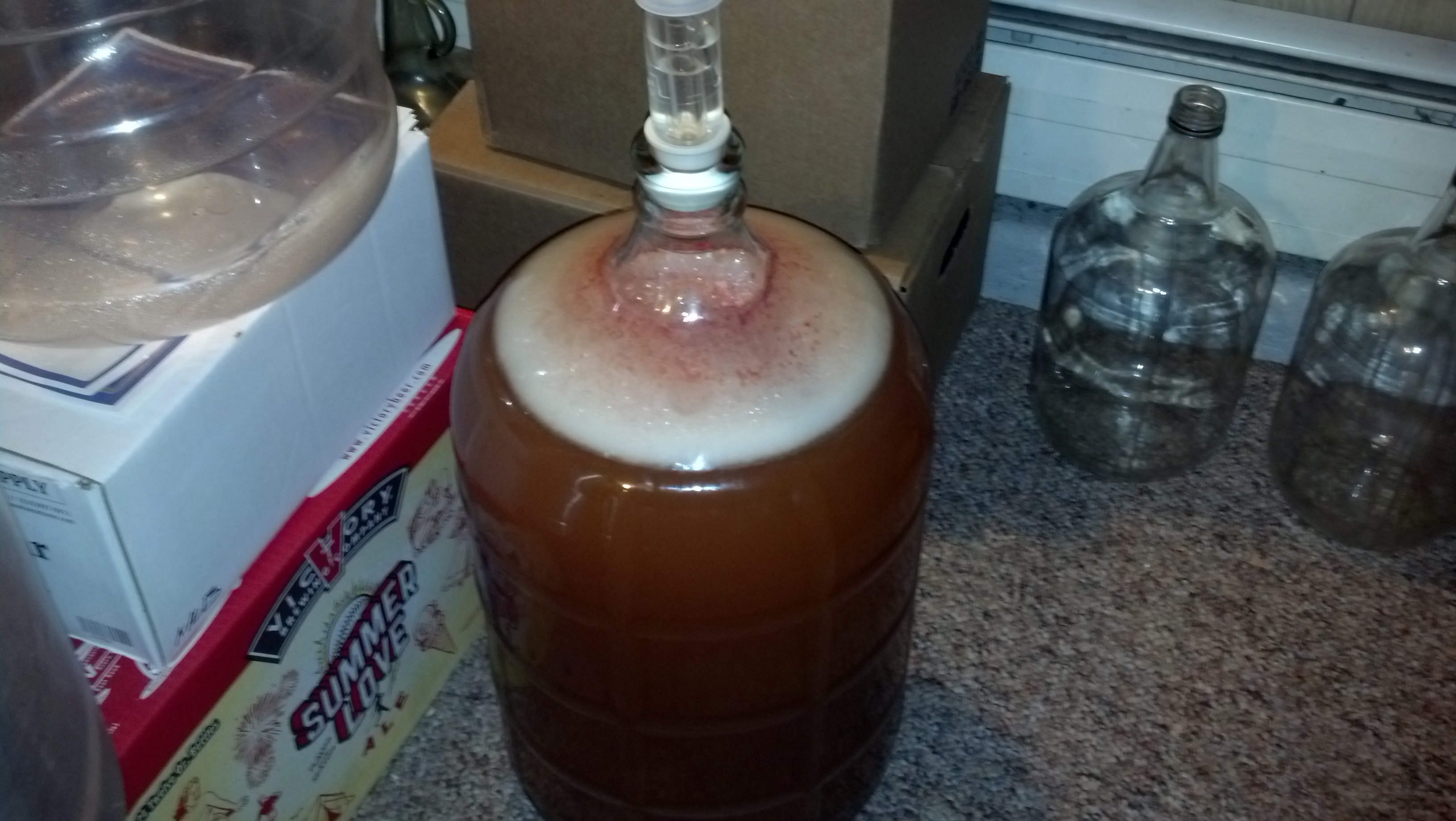 Watermelon Wheat