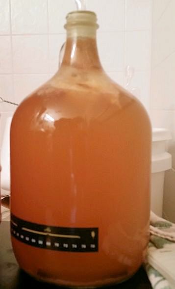 Joe's Ancient Orange Mead