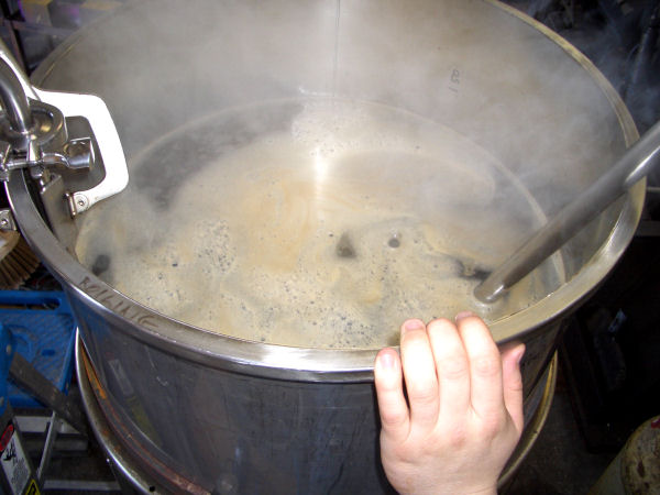 55 Gallon Brewday