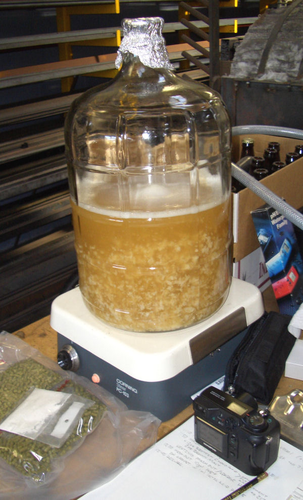 55 Gallon Brewday