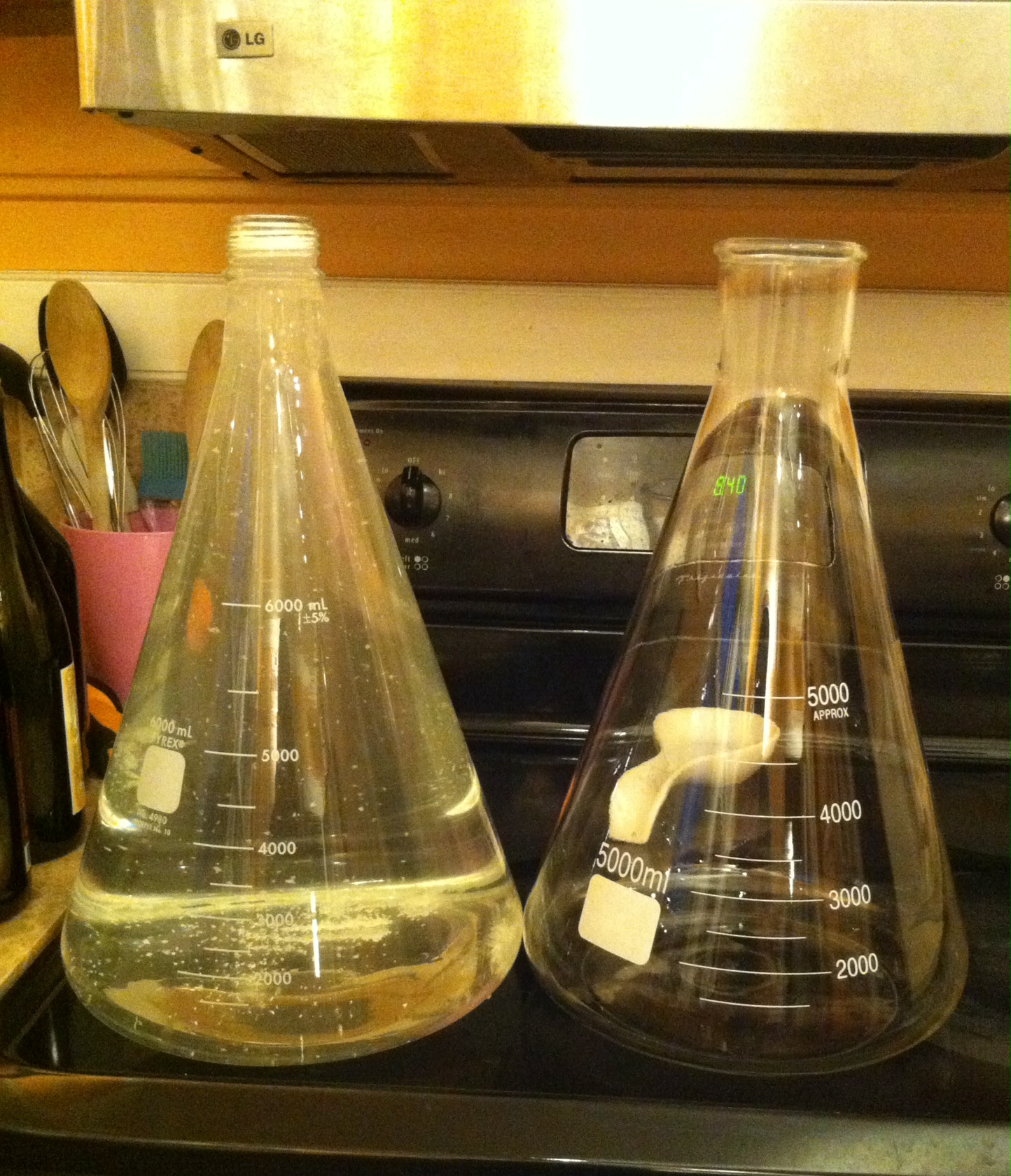 5L erlenmeyer vs. 6L