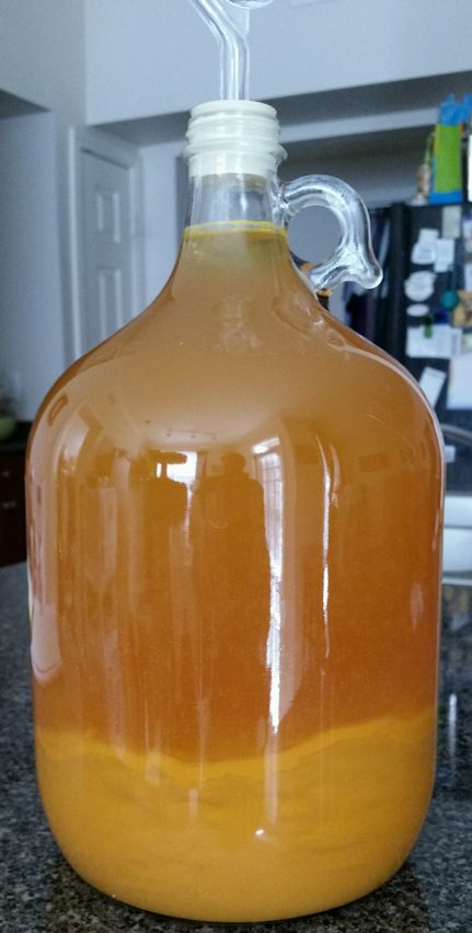 Naked Mango Mead